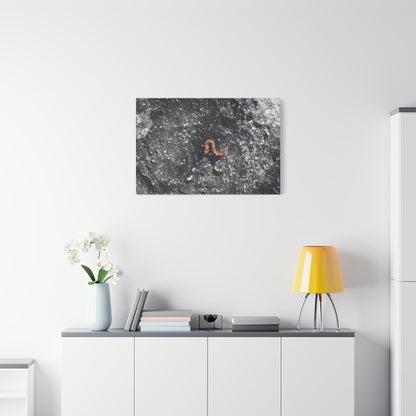 Earthen Serpent - Unique Frameless Canvas Wall Art