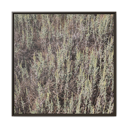 Sage Fields Forever - Unique Stretched Canvas Wall Art - Art By Earth
