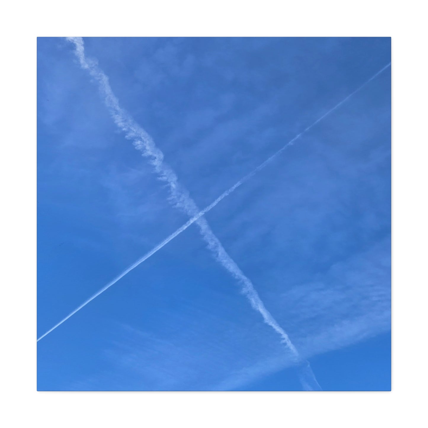 Crossing Paths - Unique Frameless Canvas Wall Art
