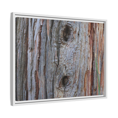 Knotty Nature - Unique Stretched Canvas Wall Art
