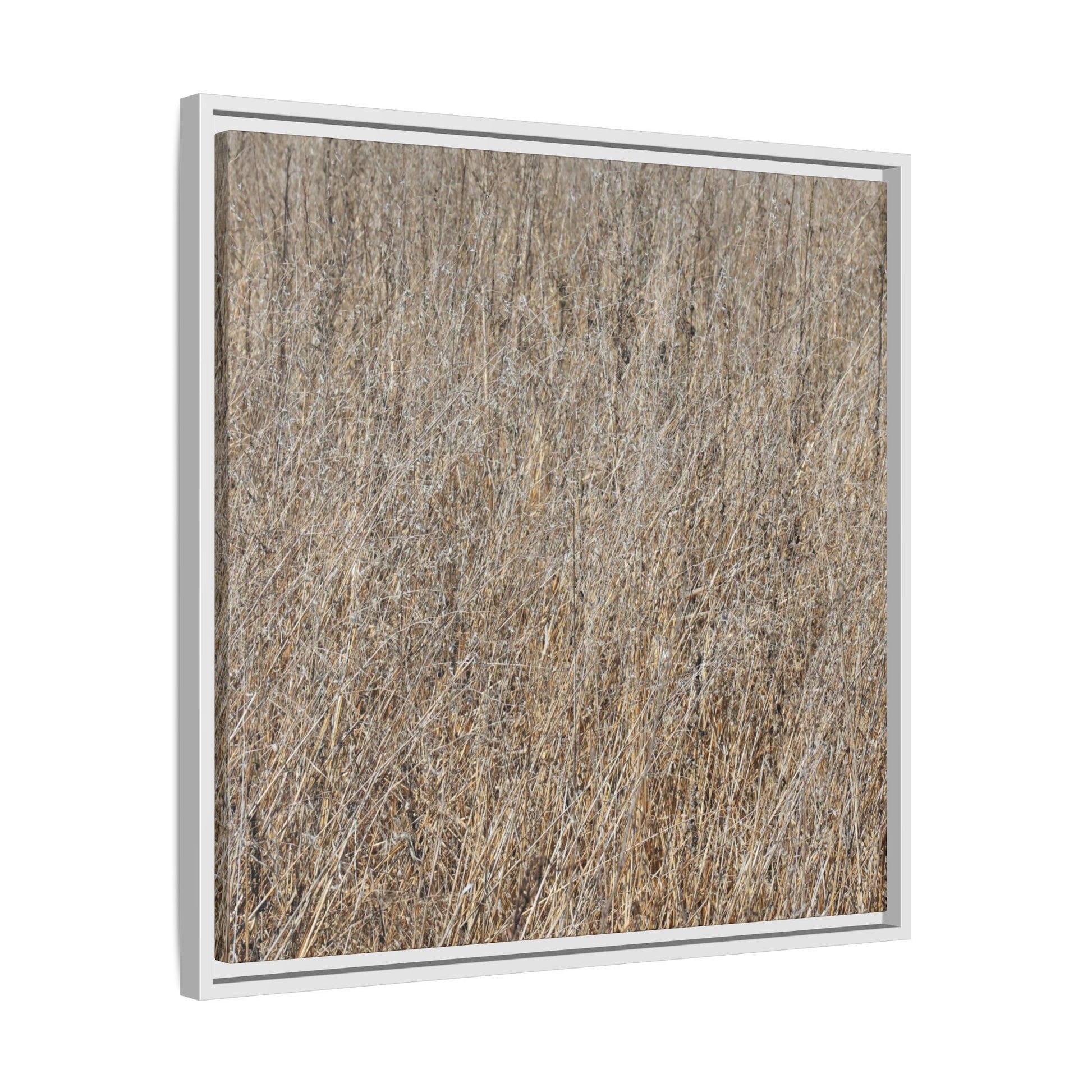 Whispers of Straw - Unique Stretched Canvas Wall Art - Art By Earth