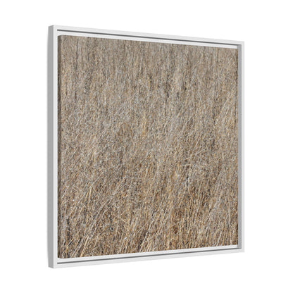 Whispers of Straw - Unique Stretched Canvas Wall Art - Art By Earth