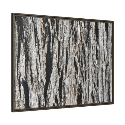 Nature's Abstract - Unique Stretched Canvas Wall Art