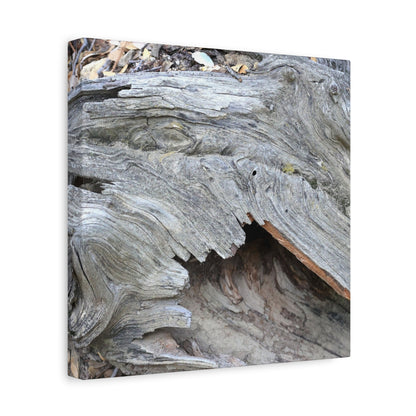 Whispers of Ancient Wood - Unique Frameless Canvas Wall Art