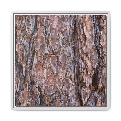 Woody Layers - Unique Stretched Canvas Wall Art