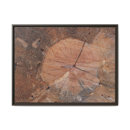 Concentric Memories - Unique Stretched Canvas Wall Art