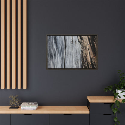 Wood's Lament - Unique Stretched Canvas Wall Art