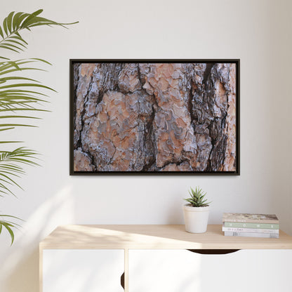 Tree Skin Symphony - Unique Stretched Canvas Wall Art