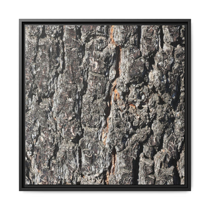 Aged Beauty - Unique Stretched Canvas Wall Art