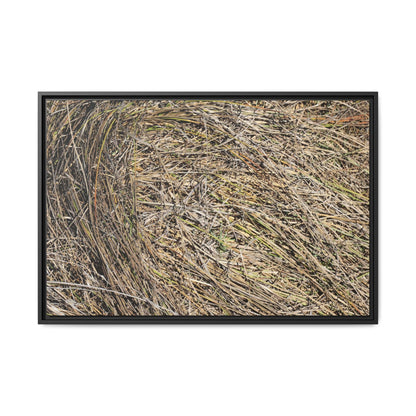 Tangled Grass Symphony - Unique Stretched Canvas Wall Art - Art By Earth