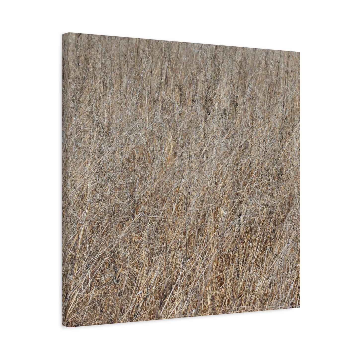 Silent Prairie - Unique Frameless Canvas Wall Art - Art By Earth