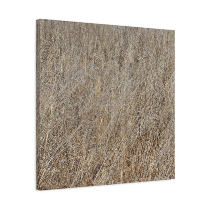 Silent Prairie - Unique Frameless Canvas Wall Art - Art By Earth