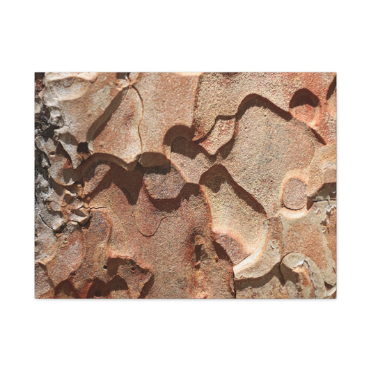 Terracotta Echoes - Unique Frameless Canvas Wall Art