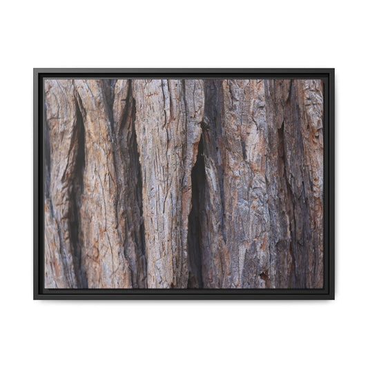 Ancient Grains - Unique Stretched Canvas Wall Art