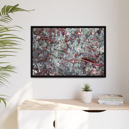 Whispers of Sage - Unique Stretched Canvas Wall Art