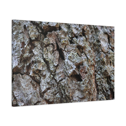 Cracked Echoes - Unique Frameless Canvas Wall Art