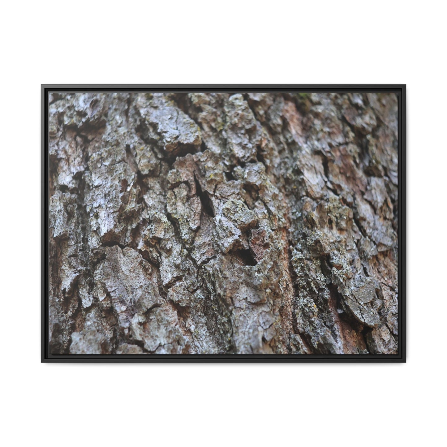 Woodland Canvas - Unique Stretched Canvas Wall Art