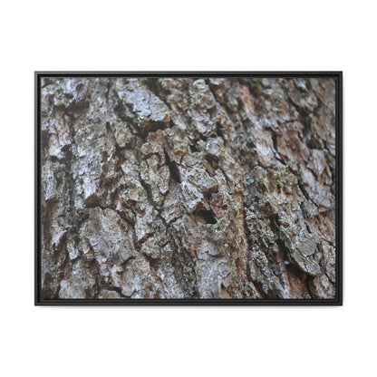 Woodland Canvas - Unique Stretched Canvas Wall Art