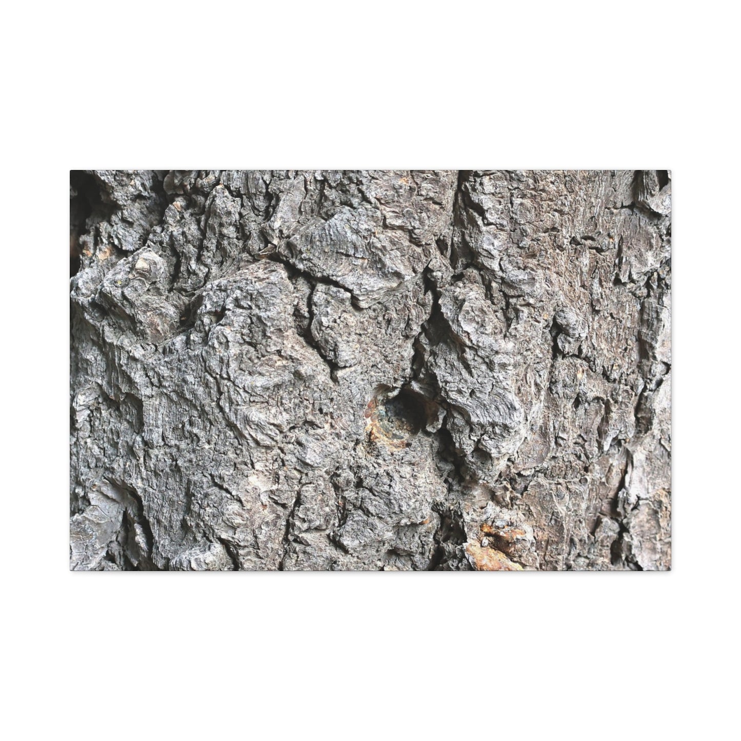 Elemental Canvas - Unique Frameless Canvas Wall Art