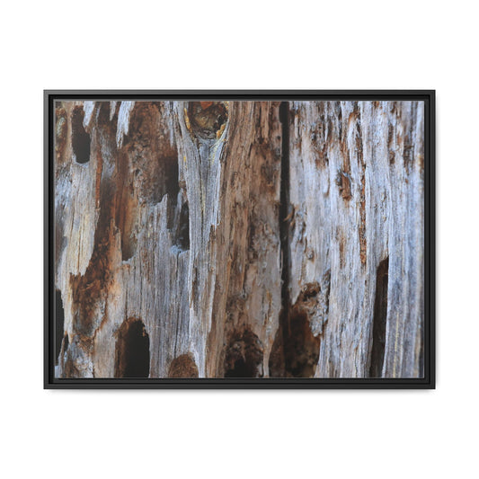 Decaying Splendor - Unique Poster Wall Art