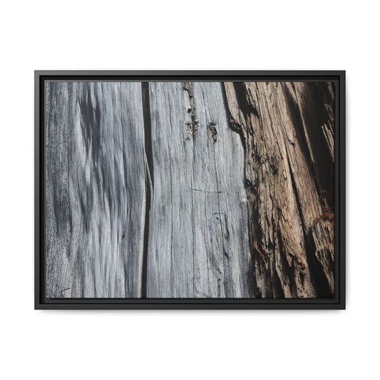 Wood's Lament - Unique Stretched Canvas Wall Art