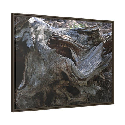 Twisted Memories - Unique Stretched Canvas Wall Art
