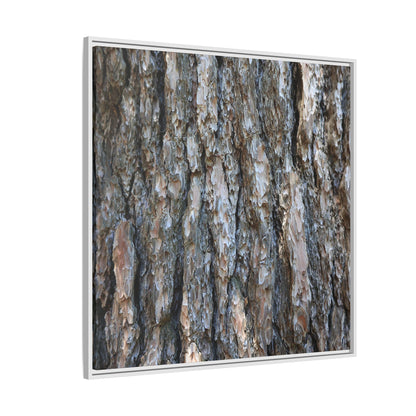 Bark Whispers - Unique Stretched Canvas Wall Art