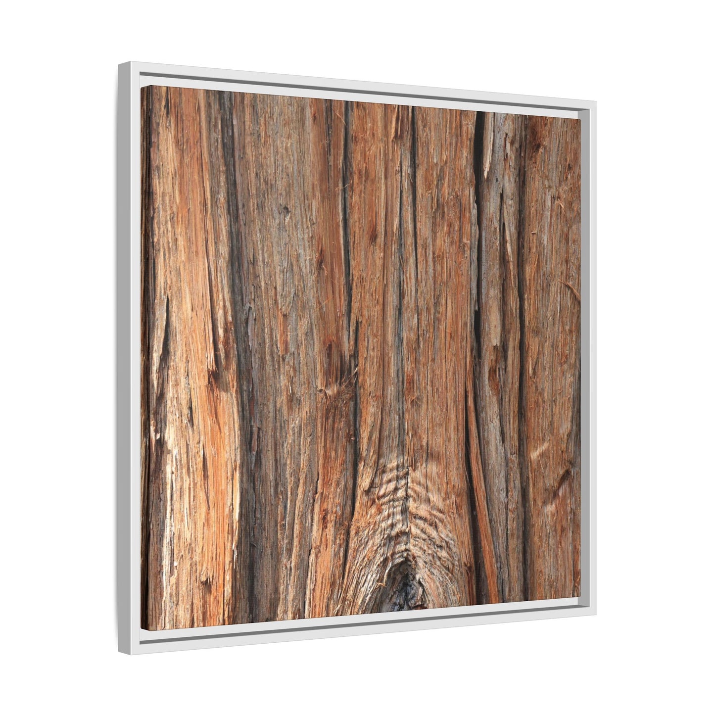 Echoes of Timber - Unique Stretched Canvas Wall Art
