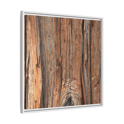 Echoes of Timber - Unique Stretched Canvas Wall Art