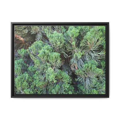 Verdant Whispers - Unique Stretched Canvas Wall Art