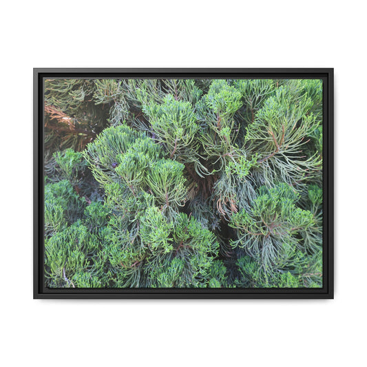 Verdant Whispers - Unique Stretched Canvas Wall Art
