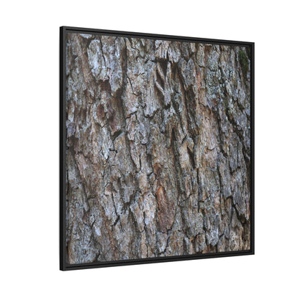 Woodland Skin - Unique Stretched Canvas Wall Art