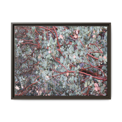 Whispers of Sage - Unique Stretched Canvas Wall Art
