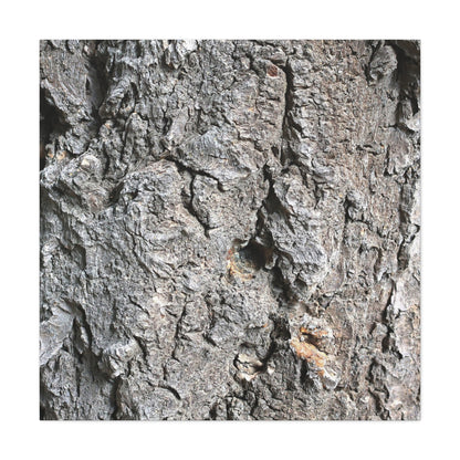 Elemental Canvas - Unique Frameless Canvas Wall Art