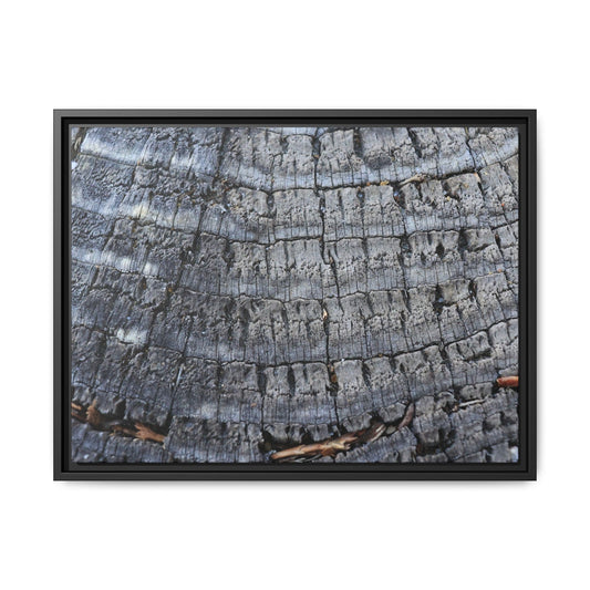 Charred Memories - Unique Stretched Canvas Wall Art