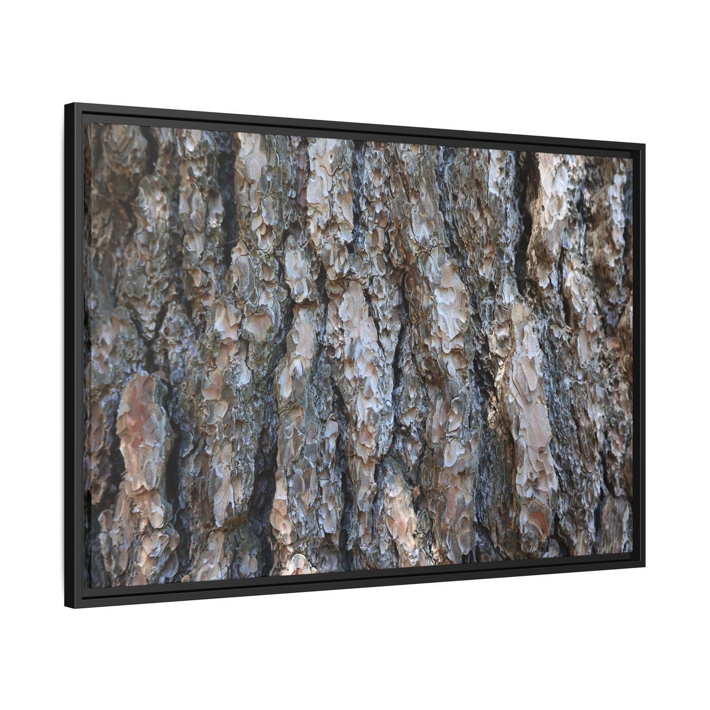 Bark Whispers - Unique Stretched Canvas Wall Art