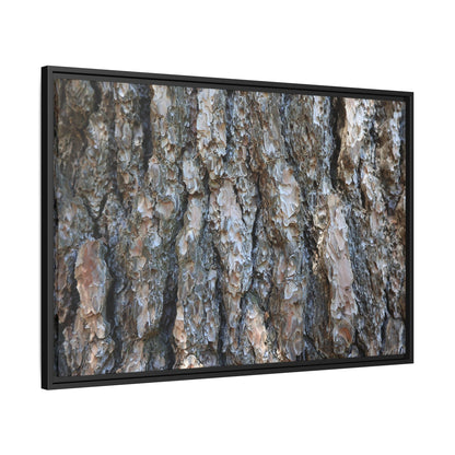 Bark Whispers - Unique Stretched Canvas Wall Art