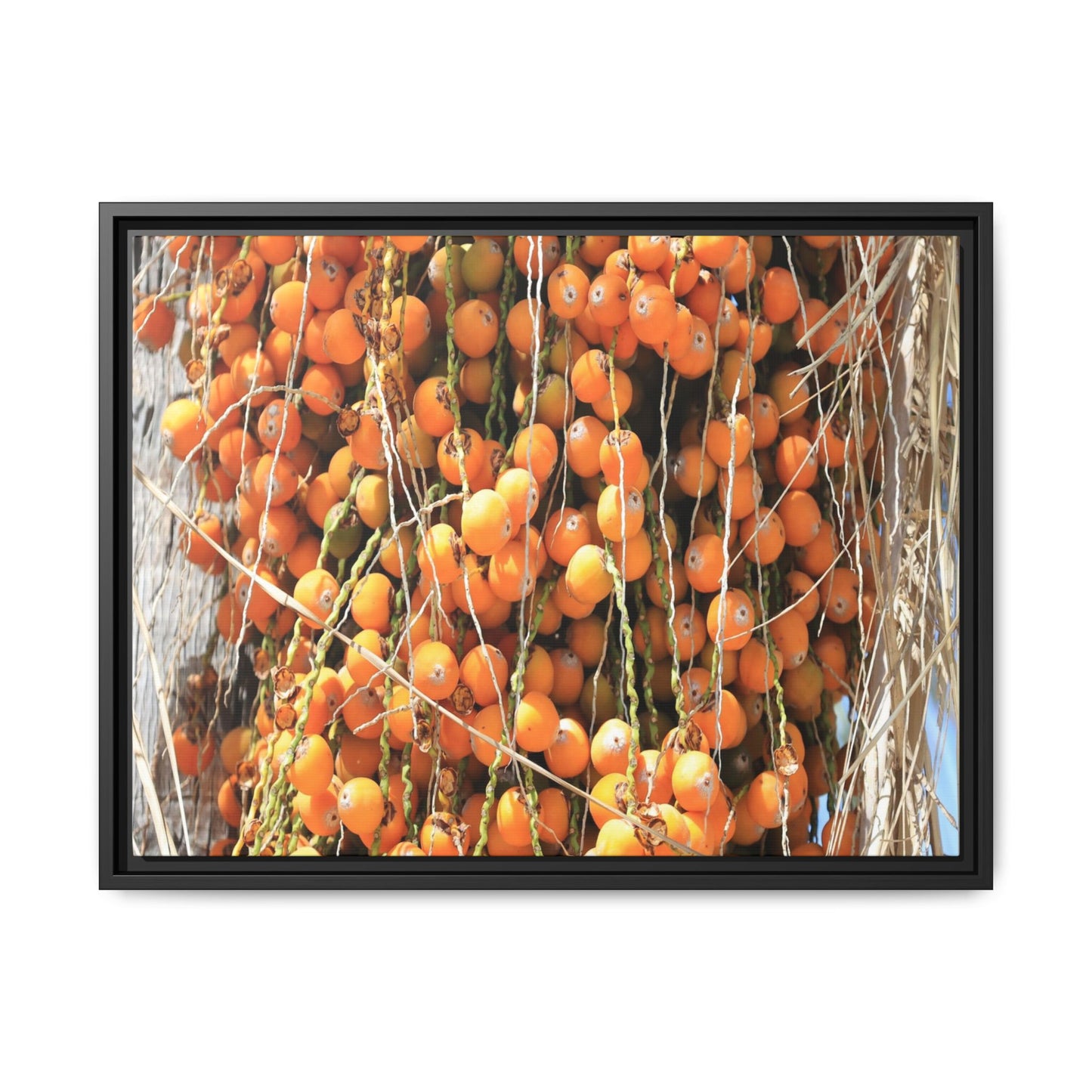 Clusters of Sunlight - Unique Canvas Wall Art
