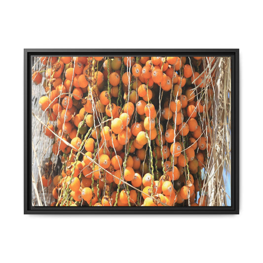 Clusters of Sunlight - Unique Canvas Wall Art