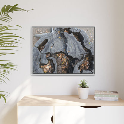 Time's Fractal Memory - Unique Stretched Canvas Wall Art