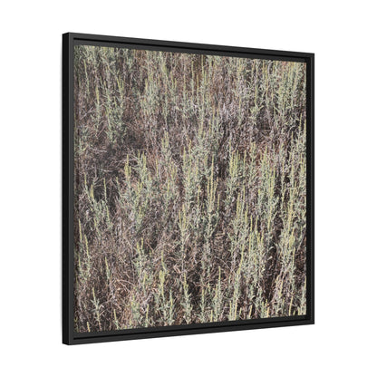 Sage Fields Forever - Unique Stretched Canvas Wall Art - Art By Earth