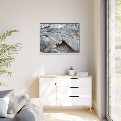 Driftwood Dreams - Unique Stretched Canvas Wall Art