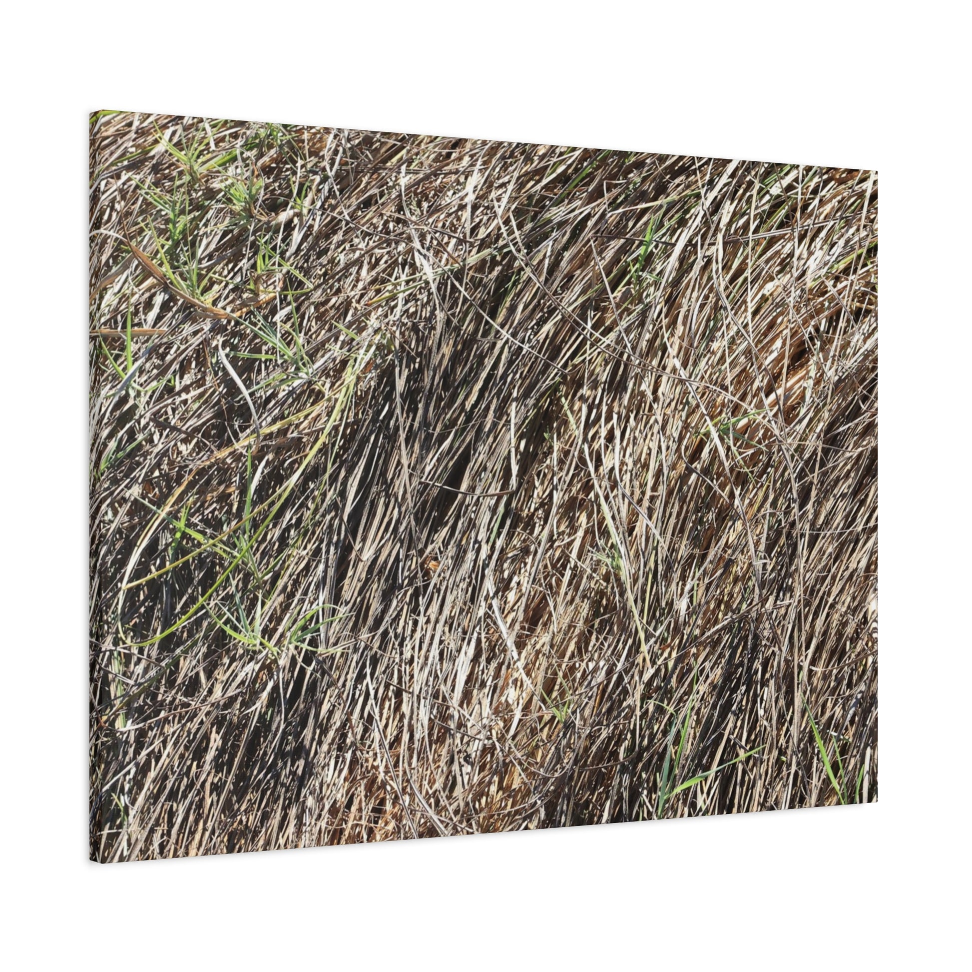 Tangled Wilderness - Unique Stretched Canvas Wall Art - Art By Earth