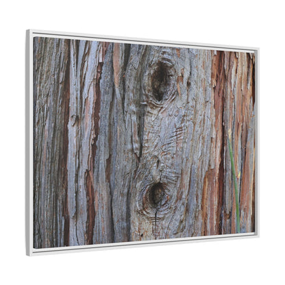 Knotty Nature - Unique Stretched Canvas Wall Art