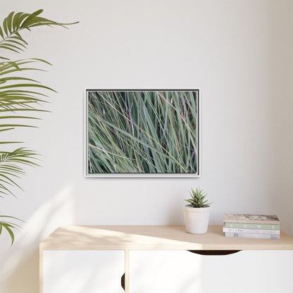 Grassland Symphony - Unique Stretched Canvas Wall Art