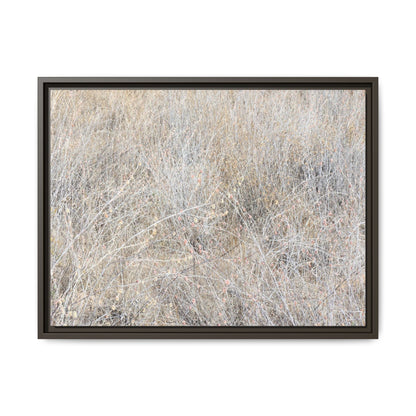 Whispers of Dry Grass - Unique Stretched Canvas Wall Art - Art By Earth