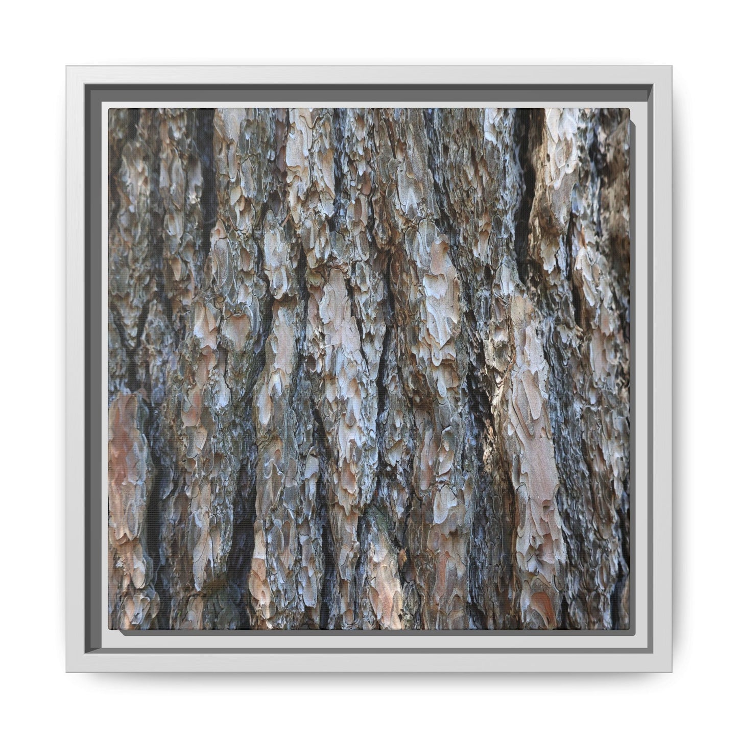 Bark Whispers - Unique Stretched Canvas Wall Art