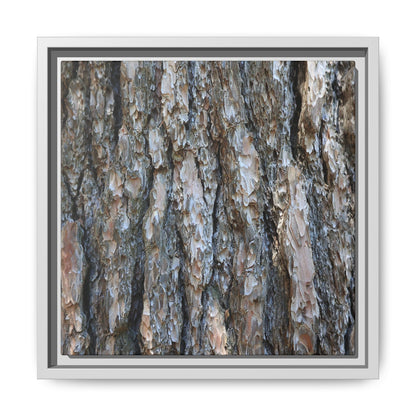 Bark Whispers - Unique Stretched Canvas Wall Art