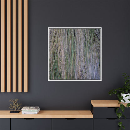 Whispers of Silver Grass - Unique Stretched Canvas Wall Art