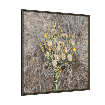 Whispers of the Dry Grass - Unique Stretched Canvas Wall Art - Art By Earth